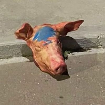 Têtes de cochon à Paris et Berlin : onze suspects interpellés en Serbie