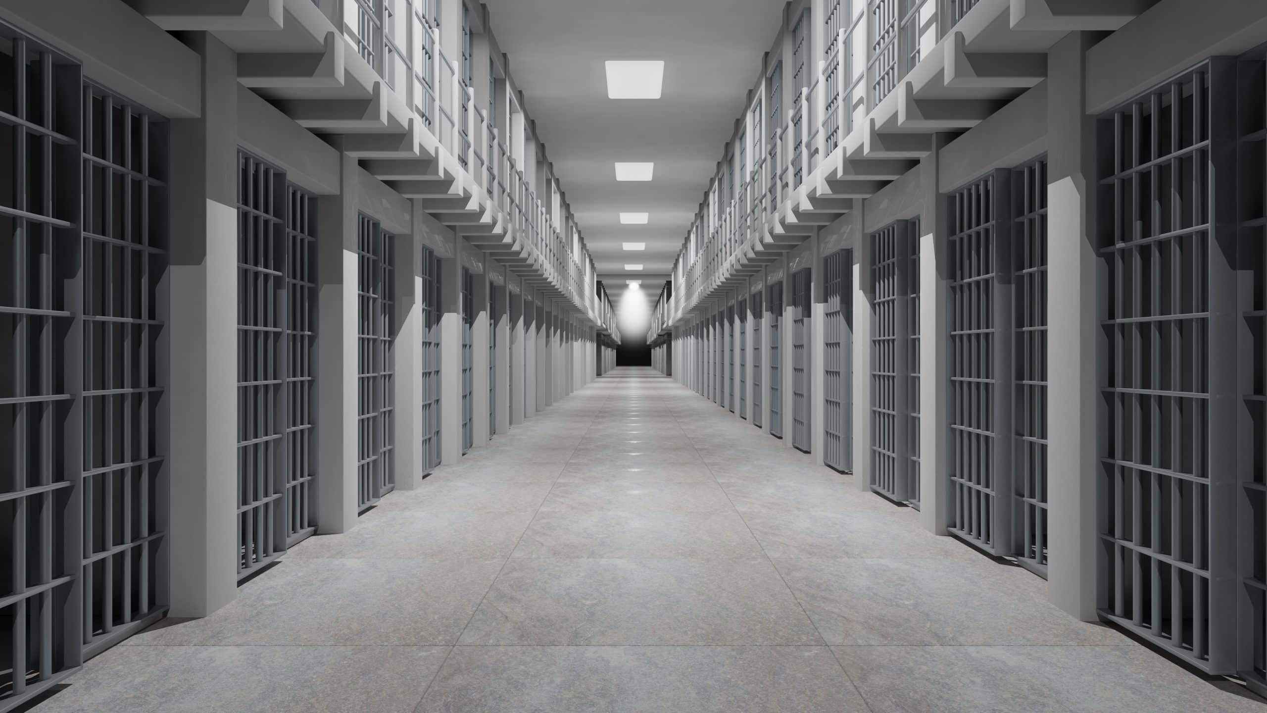 Blog • Sirine Gaouar : Un monde sans prisons, sans armes et sans dirigeants intouchables