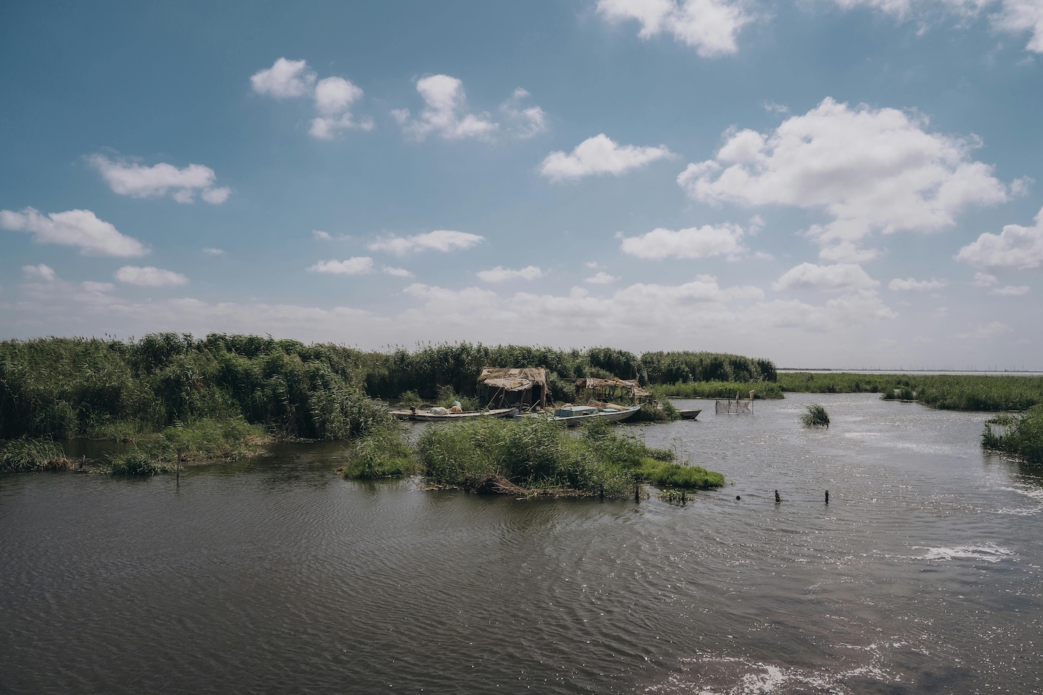Roumanie : la réserve du delta du Danube dans un tourbillon de corruption