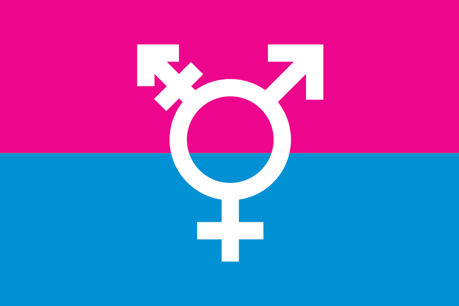 «Nous survivons» : au Monténégro, l&rsquo;interminable attente des personnes transgenres