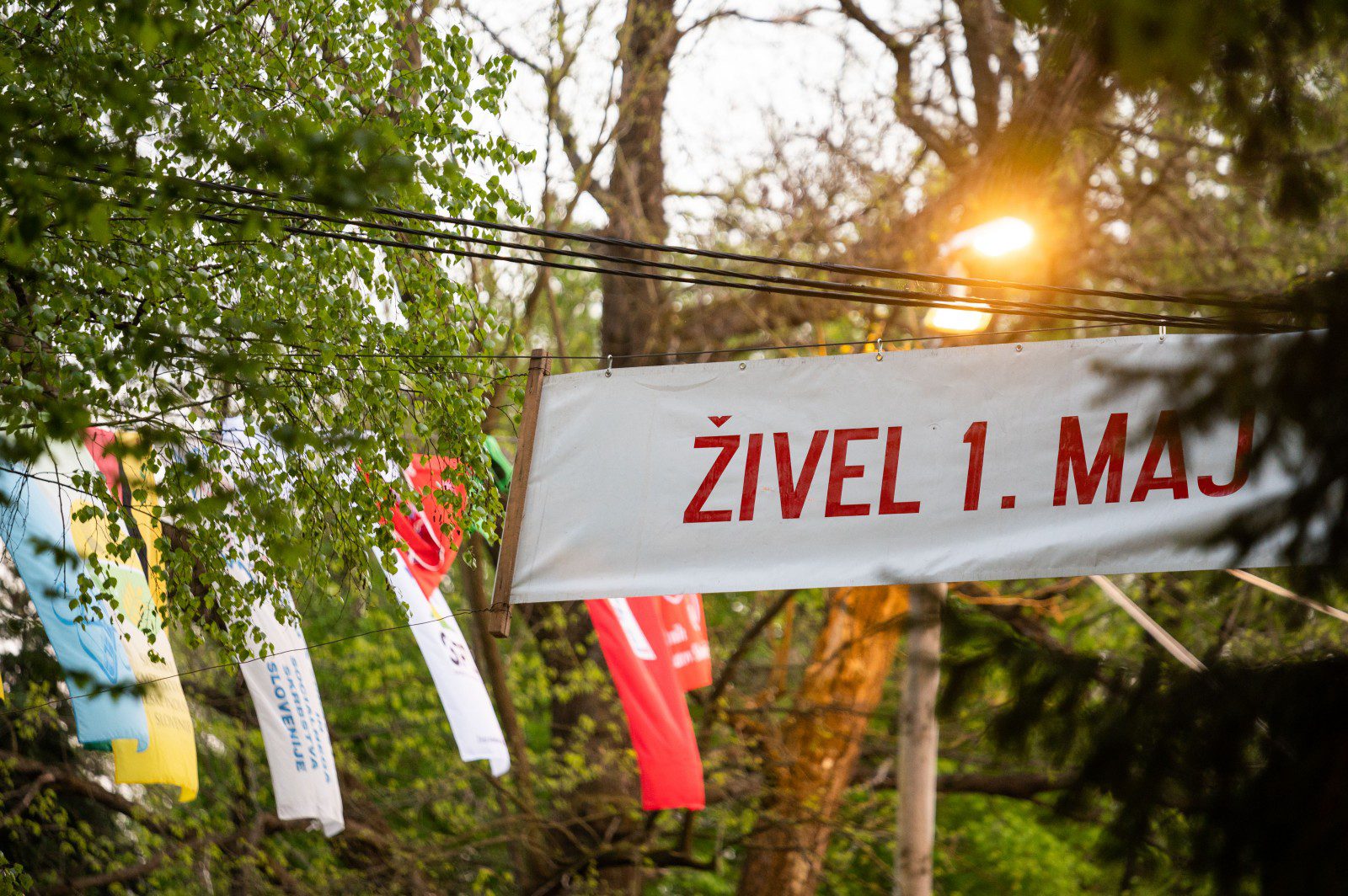 Slovénie : tradition sociale, crise énergétique et défis économiques