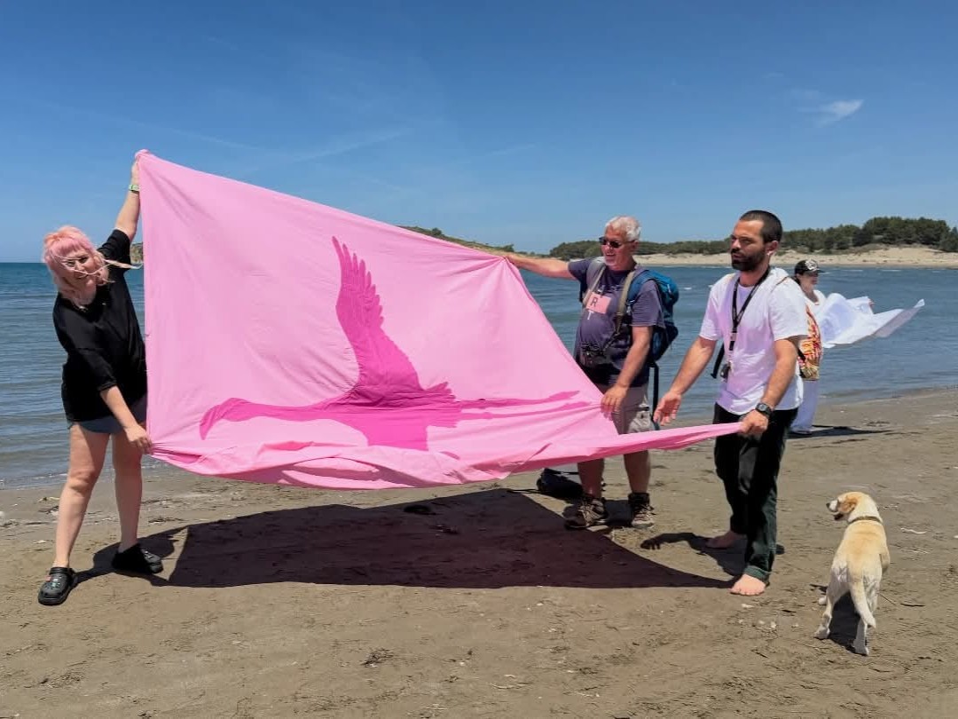Albanie : avec la révolution des flamants roses, la Gen Z prend la parole