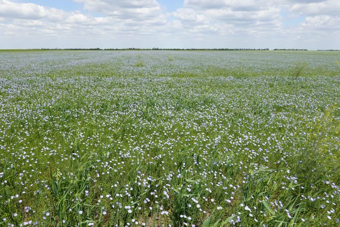Serbie : le milliardaire qui veut réinventer l&rsquo;agriculture