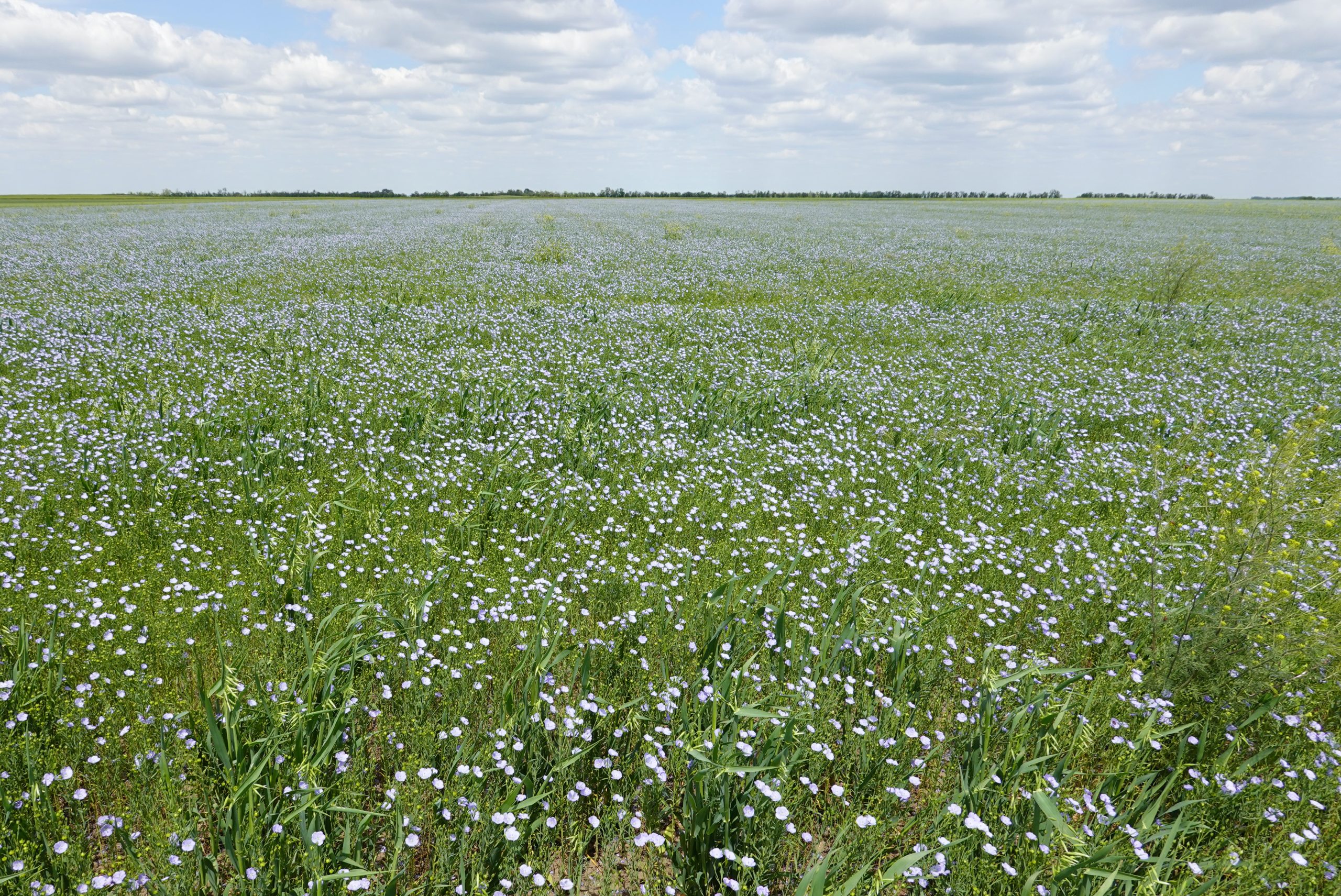 Serbie : le milliardaire qui veut réinventer l&rsquo;agriculture
