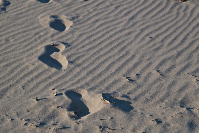 Canicule : la Serbie face à ses vulnérabilités climatiques