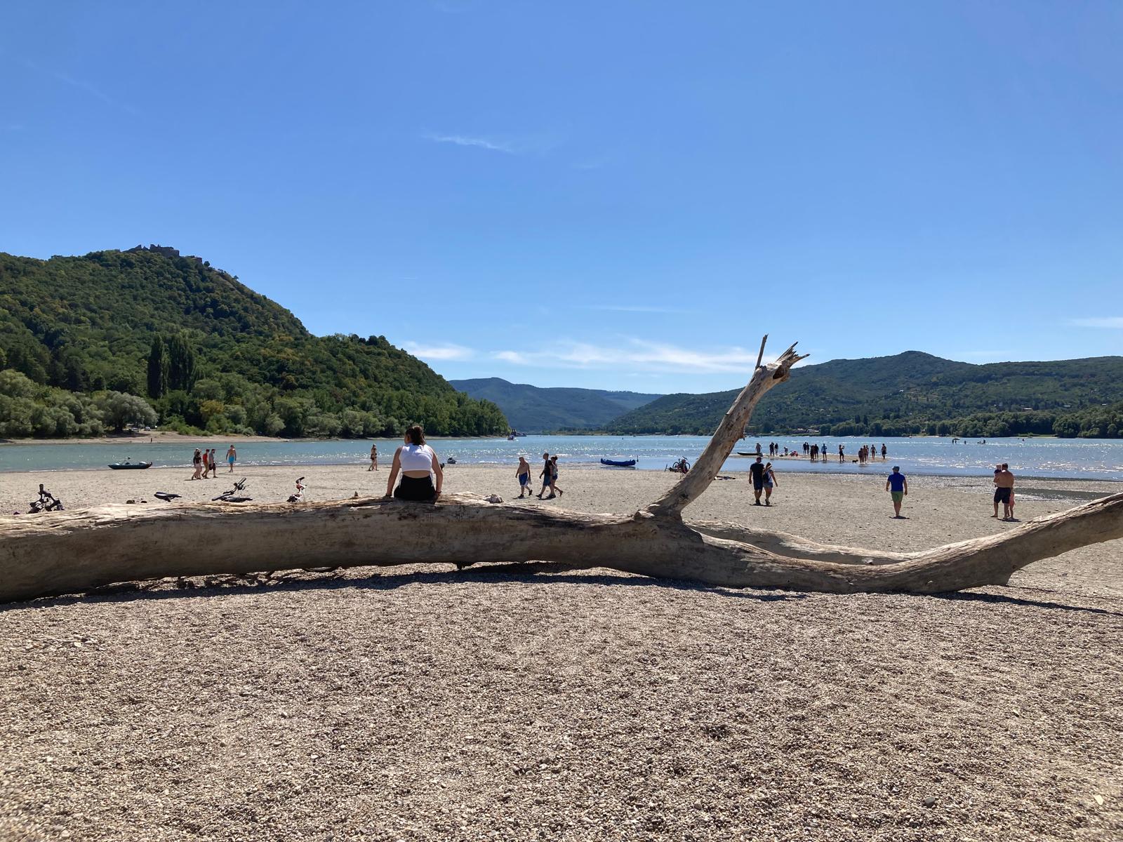 Le Danube presque à sec : catastrophe écologique et économique dans les Balkans